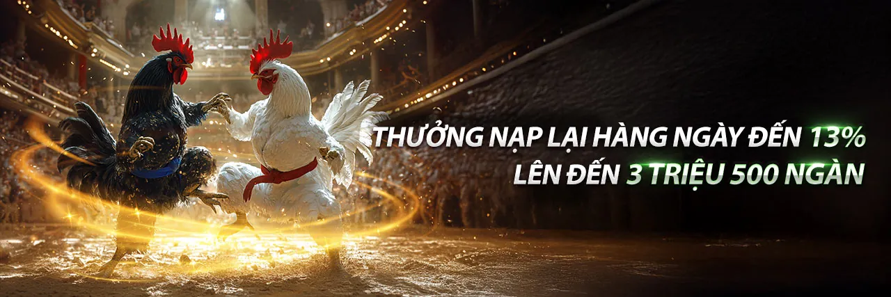 Hình ảnh banner blog 188cm chính thức về cá cược thể thao