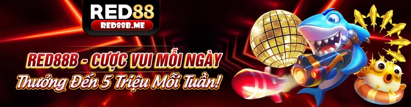 Giao diện ứng dụng 188cm chính thức trên điện thoại
